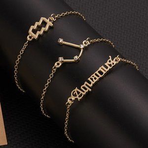 🆕Aquarius 3-Piece Dainty Layer Chain Bracelets
